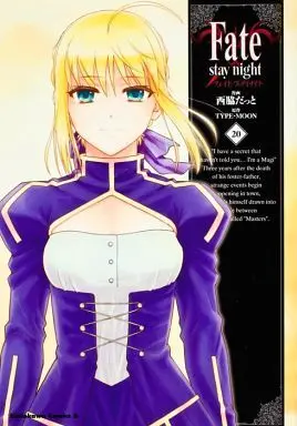 Manga Complete Set Fate/stay night (20) (Fate/stay night 全20巻セット)  / Nishiwaki Datto