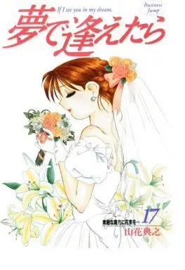 Manga Complete Set If I See You in My Dreams (Yume de Aetara) (17) (夢で逢えたら 全17巻セット(HANAKO))  / Yamahana Noriyuki