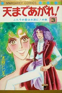 Manga Complete Set Ten Made Agare! (3) (天まであがれ 全3巻セット / 木原敏江)  / Kihara Toshie