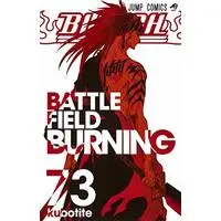 Manga Bleach (Main Series) vol.73 (BLEACH―ブリーチ― 73 (ジャンプコミックス))  / Kubo Tite