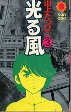 Manga Complete Set Hikaru Kaze (3) (光る風 全3巻セット)  / Yamagami Tatsuhiko