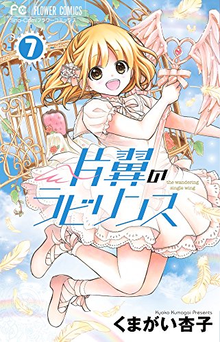 片翼のラビリンス = the wandering single wing USED) Manga The Wandering Single Wing (Katayoku no Labyrinth) vol