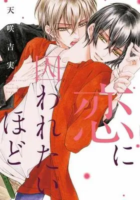 Manga Set Iki Mo Dekinai Hodo (4) (■未完セット)ほどシリーズ 1～4巻)  / Amasaki Yoshimi