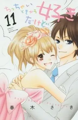 Manga Complete Set Chicchai Toki kara Suki dakedo (11) (ちっちゃいときから好きだけど 全11巻セット)  / Haruki Saki