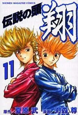 Manga Complete Set Densetsu no Kashira: Shou (11) (伝説の頭 翔 全11巻セット)  / Hamori Takashi