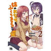 Manga Ane no Onaka o Fukuramaseru wa Boku vol.2 (姉のおなかをふくらませるのは僕 2 (ヤングチャンピオンコミックス))  / 恩田チロ 坂井音太