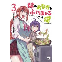 Manga Ane no Onaka o Fukuramaseru wa Boku vol.3 (姉のおなかをふくらませるのは僕 3 (ヤングチャンピオンコミックス))  / 恩田チロ 坂井音太