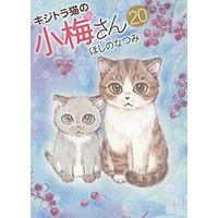 Manga Set Plum Crazy! Tales of A Tiger-Striped Cat (Kijitora Neko no Koume-san) (20) (キジトラ猫の小梅さん 20 (20巻) (ねこぱんちコミックス))  / Hoshino Natsumi