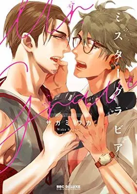 Manga Mr. Gravure (ミスターグラビア (ビーボーイコミックスデラックス))  / Sagami Waka