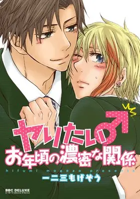 Manga Yaritai Otoshigoro no Noumitsu na Kankei (ヤりたいお年頃の濃密な関係 (ビーボーイコミックスデラックス) (ビーボーイコミックスDX))  / Hifumi Mogezou