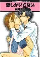 Manga Ai Shika Iranai (愛しかいらない)  / Hashiba Noriko