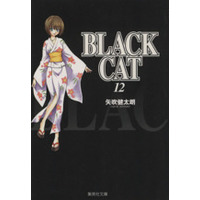 Manga Black Cat vol.12 (BLACK CAT(文庫版)(12))  / Yabuki Kentaro