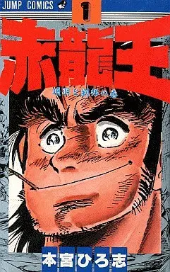 Manga Complete Set Sekiryuuou (9) (赤龍王 全9巻セット)  / Motomiya Hiroshi