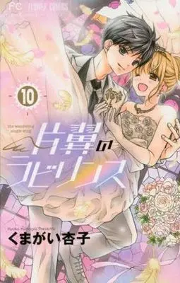 Manga Complete Set The Wandering Single Wing (Katayoku no Labyrinth) (10) (片翼のラビリンス 全10巻セット)  / Kumagai Kyoko