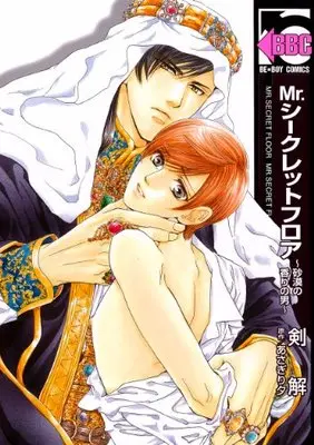 Manga Mr. Secret Floor (Mr.シークレットフロア ~砂漠の香りの男~ (ビーボーイコミックス))  / Asagiri Yu & Tsurugi Kai