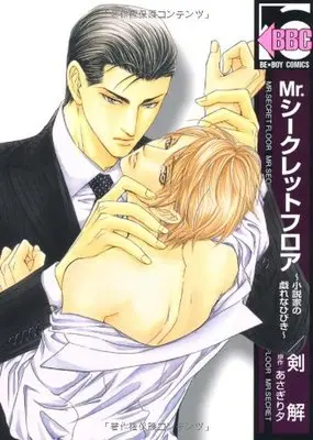Manga Mr. Secret Floor (Mr.シークレットフロア~小説家の戯れなひびき (ビーボーイコミックス))  / Tsurugi Kai