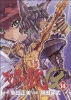 Manga Saint Seiya: Episode.G vol.14 (聖闘士星矢EPISODE.G(14))  / Okada Megumu