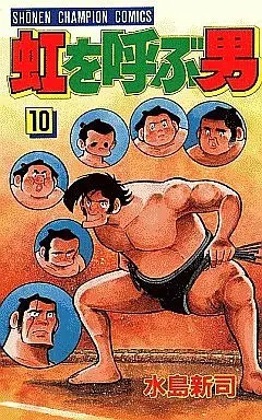 Manga Complete Set Niji o Yobu Otoko (10) (虹を呼ぶ男 全10巻セット)  / Mizushima Shinji