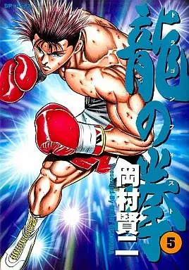 Manga Complete Set Dragon FIst (Dragon Fist) (5) (龍の拳 全5巻セット)  / Okamura Kenji
