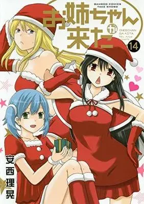 Manga Set Oneechan ga Kita (14) (★未完)お姉ちゃんが来た 1～14巻セット)  / Anzai Riko