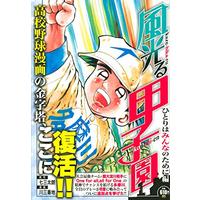 Manga Kaze Hikaru (風光る ひとりはみんなのために編 (講談社プラチナコミックス))  / Kawa Sanbanchi