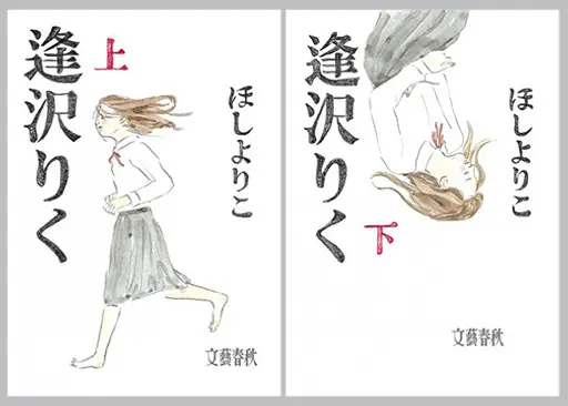 Manga Complete Set Aizawa Riku (2) (逢沢りく 全2巻セット)  / Hoshi Yoriko