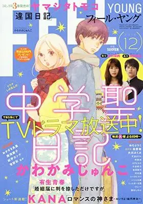 Magazine FEEL YOUNG (FEEL YOUNG(フィールヤング) 2018年 12 月号 [雑誌]) 