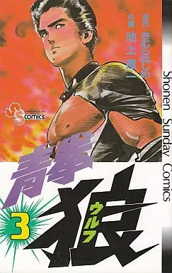 Manga Complete Set Seiken Wolf (3) (青拳狼 全3巻セット)  / Ikegami Ryoichi