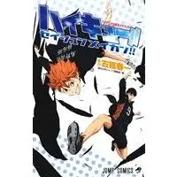 Official Guidance Book Seishun Meikan!! (アニメ公式ガイドブック ハイキュー!! セイシュンメイカン)  / Furudate Haruichi