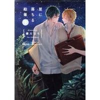 Manga Set Hoshi ni Ochiru Efude (2) (星に落ちる絵筆(下))  / Sakuragawa Naro