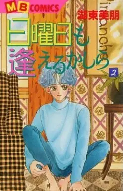 Manga Complete Set Nichiyoubi Mo Aeru Kashira (2) (日曜日も逢えるかしら 全2巻セット)  / Kotou Mihou