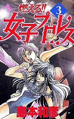 Manga Complete Set Moeru!! Joshi Puroresu (3) (燃える!!女子プロレス 全3巻セット)  / Shimamoto Kazuhiko