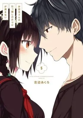 Manga Complete Set Oniisan no Hikkoshi no Katazuke ga Susumanai (5) (お従兄さんの引っ越しの片づけが進まない 全5巻セット)  / Yoshibe Akuro