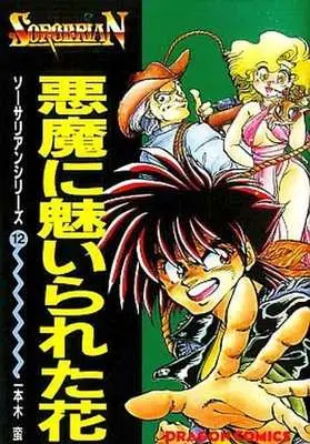 Manga Complete Set Sorcerian Series (12) (ソーサリアンシリーズ 全12巻セット / 一本木蛮) 