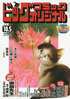 Magazine Big Comic Original (ビッグコミックオリジナル 2020年 10/5 号 [雑誌]) 