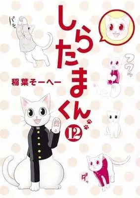 Manga Complete Set Shiratama-kun (12) (しらたまくん 全12巻セット)  / Inaba So-He-