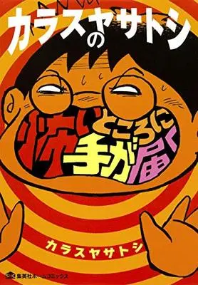 Manga  (カラスヤサトシの怖いところに手が届く (集英社ホームコミックス))  / Karasuya Satoshi