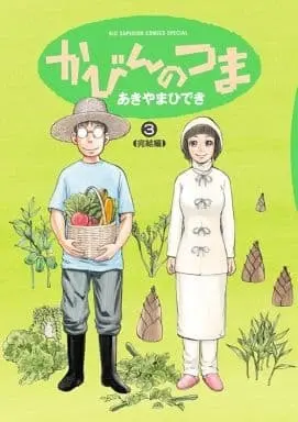 Manga Complete Set Kabin no Tsuma (3) (かびんのつま 全3巻セット)  / Akiyama Hideki
