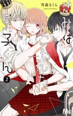 Manga Complete Set Kimi wa Kowareta Ouji-kun (2) (きみはこわれた王子くん 全2巻セット)  / Yukimori Sakura