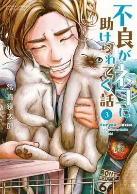 Manga Complete Set Furyou ga Neko ni Tasukerareteku Hanashi (3) (不良がネコに助けられてく話 全3巻セット)  / Tsuneki Netarou