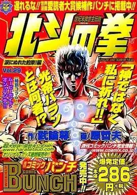 Manga Hokuto no Ken vol.29 (北斗の拳(29) / 原哲夫) 