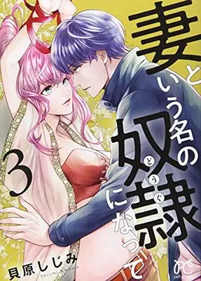 Manga Became A Slave Named Wife vol.3 (妻という名の奴隷になって 3 (3) (プリンセス・コミックス プチプリ))  / Kaibara Shijimi