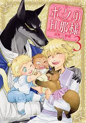 Manga Boku no Danna-sama vol.3 (ボクの旦那様(3) (ビーボーイコミックスデラックス))  / Naono Bohra
