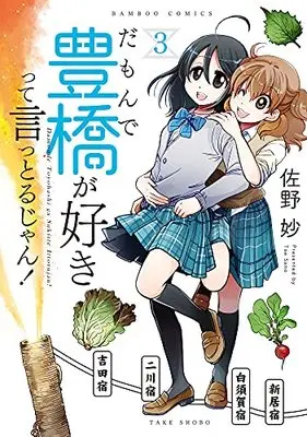 Manga Damon de Toyohashi ga Suki tte Ittoru jan! vol.3 (だもんで豊橋が好きって言っとるじゃん! (3) (バンブーコミックス))  / Sano Tae