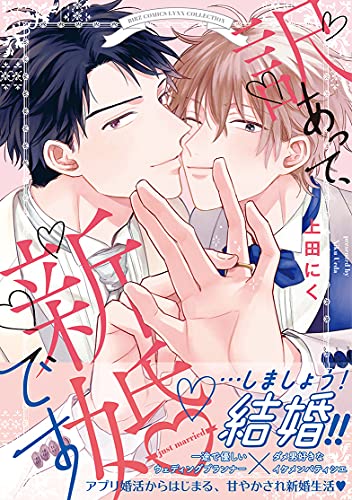 Manga Wake Atte, Shinko desu (訳あって、新婚です (バーズコミックス リンクスコレクション))  / Ueda Niku