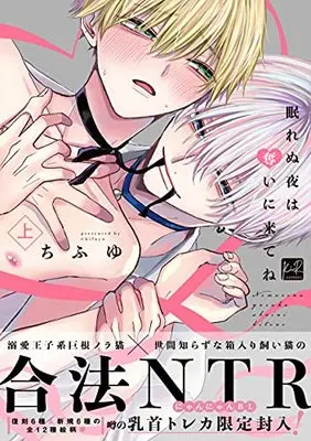Manga Nemurenu Yoru wa Ubai ni Kitene (眠れぬ夜は奪いに来てね 上 (KiR comics))  / Chifuyu