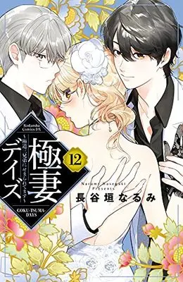 Manga Gokutsuma Days: Gokudou Sankyoudai ni Semararetemasu vol.12 (極妻デイズ~極道三兄弟にせまられてます~(12) (KCデラックス))  / 長谷垣 なるみ