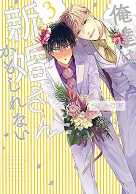 Manga Oretachi Wa Shinkon-San Kamo Shirenai vol.3 (俺達は新婚さんかもしれない (3) (バンブーコミックス Qpaコレクション))  / Chishanomi