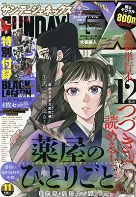 Magazine Monthly Sunday GX (月刊サンデージェネックス 2021年 11 月号 [雑誌]) 