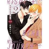 Special Edition Manga Risouteki Ren'ai no Jouken vol.2 (理想的恋愛の条件(2) 特装版 (2) (gateauコミックス))  / Haida Nanako